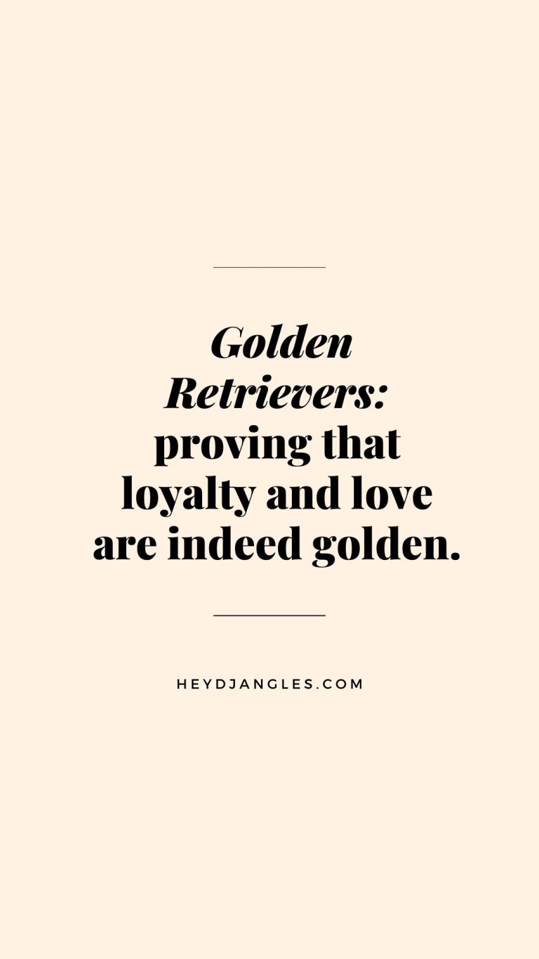 "Golden Retrievers: proving that loyalty and love are indeed golden."