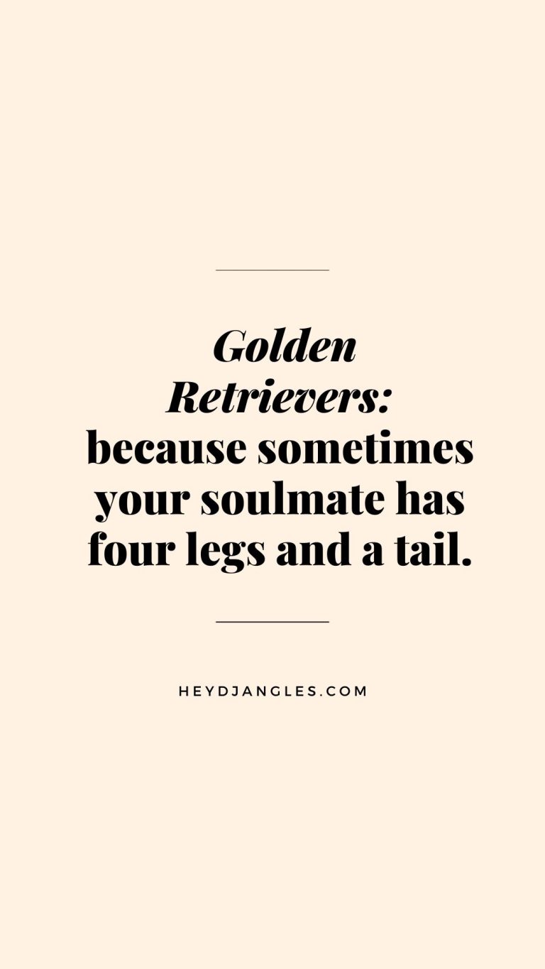 "Golden Retrievers: because sometimes your soulmate has four legs and a tail."